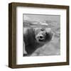 Bubbles-null-Framed Art Print