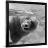 Bubbles-null-Framed Art Print