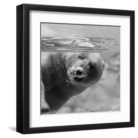 Bubbles-null-Framed Art Print