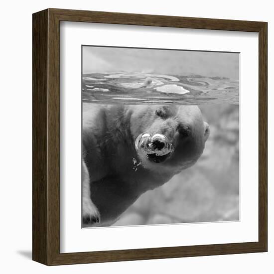 Bubbles-null-Framed Art Print