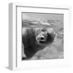 Bubbles-null-Framed Art Print