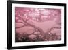 Bubbles-Gordon Semmens-Framed Photographic Print