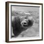 Bubbles-C.S. Tjandra-Framed Photographic Print