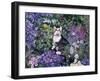 Bubbles-Hilary Jones-Framed Giclee Print