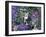 Bubbles-Hilary Jones-Framed Giclee Print