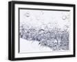 Black Frame
