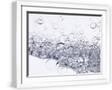 White Frame