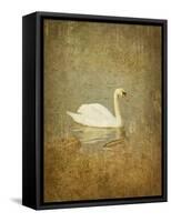 Bubblexs-Lynne Davies-Framed Stretched Canvas