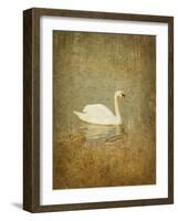 Bubblexs-Lynne Davies-Framed Photographic Print