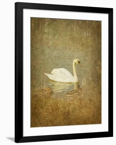 Bubblexs-Lynne Davies-Framed Photographic Print