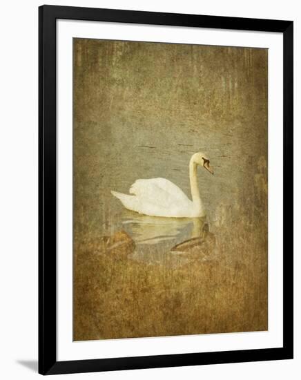 Bubblexs-Lynne Davies-Framed Photographic Print