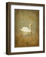 Bubblexs-Lynne Davies-Framed Photographic Print