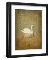 Bubblexs-Lynne Davies-Framed Photographic Print