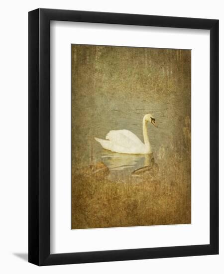 Bubblexs-Lynne Davies-Framed Photographic Print