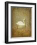 Bubblexs-Lynne Davies-Framed Photographic Print