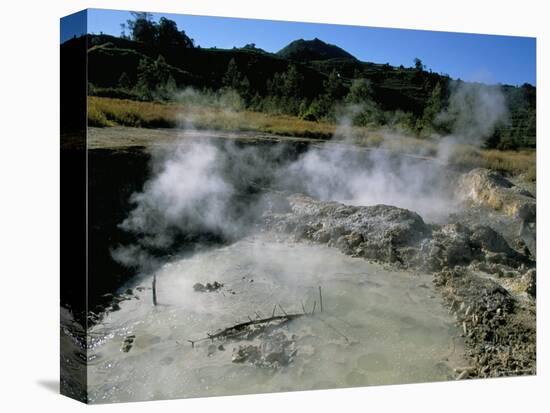 Bubbling Mud Pools, Kawah Sikidang Volcanic Crater, Dieng Plateau, Island of Java, Indonesia-Jane Sweeney-Stretched Canvas