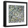 Bubbling Over-Jessica Torrant-Framed Art Print