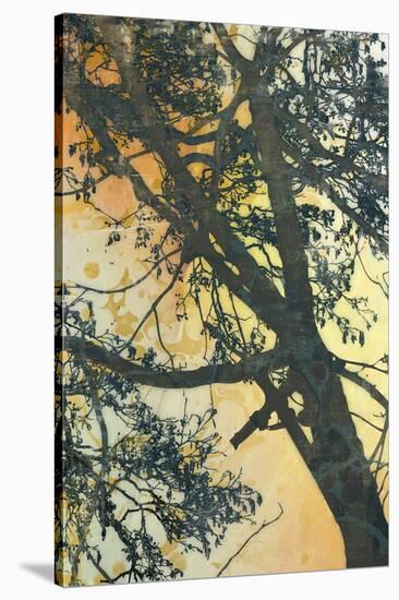 Bubbly Branches-James McMasters-Stretched Canvas