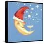 Bubbly Christmas Moon-David Cooke-Framed Stretched Canvas