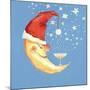 Bubbly Christmas Moon-David Cooke-Mounted Giclee Print