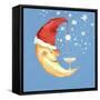 Bubbly Christmas Moon-David Cooke-Framed Stretched Canvas