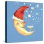 Bubbly Christmas Moon-David Cooke-Stretched Canvas