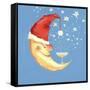 Bubbly Christmas Moon-David Cooke-Framed Stretched Canvas