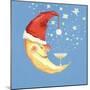 Bubbly Christmas Moon-David Cooke-Mounted Giclee Print