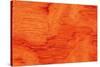 Bubinga Wood Background Texture-Digidesign-Stretched Canvas