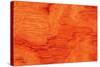 Bubinga Wood Background Texture-Digidesign-Stretched Canvas