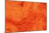 Bubinga Wood Background Texture-Digidesign-Mounted Photographic Print