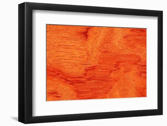 Bubinga Wood Background Texture-Digidesign-Framed Photographic Print