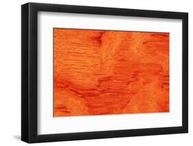 Bubinga Wood Background Texture-Digidesign-Framed Photographic Print