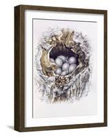 Bubo Bubo (Barn Owl), 2001-Sandra Lawrence-Framed Giclee Print