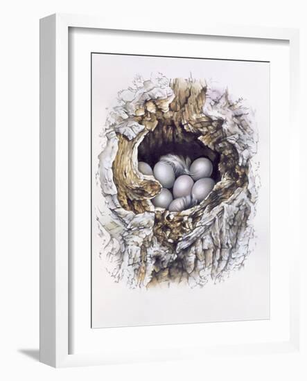 Bubo Bubo (Barn Owl), 2001-Sandra Lawrence-Framed Giclee Print