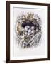 Bubo Bubo (Barn Owl), 2001-Sandra Lawrence-Framed Giclee Print