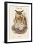 Bubo Maximus - Eagle Owl-John Gould-Framed Art Print