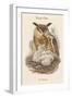 Bubo Maximus - Eagle Owl-John Gould-Framed Art Print