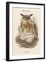 Bubo Maximus - Eagle Owl-John Gould-Framed Art Print