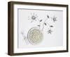 Bucatini With onion-Dimitar Lazarov-Framed Giclee Print