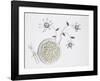 Bucatini With onion-Dimitar Lazarov-Framed Giclee Print