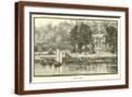 Brown Frame
