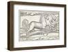 Bucephalus the Horse of Alexander the Great-null-Framed Photographic Print