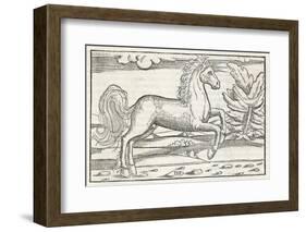 Bucephalus the Horse of Alexander the Great-null-Framed Photographic Print