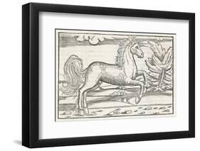 Bucephalus the Horse of Alexander the Great-null-Framed Photographic Print