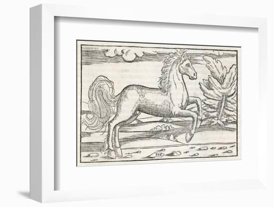 Bucephalus the Horse of Alexander the Great-null-Framed Photographic Print