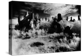 Buchannan Castle, Stirlingshire, Scotland-Simon Marsden-Stretched Canvas