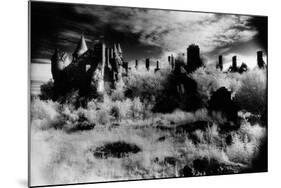 Buchannan Castle, Stirlingshire, Scotland-Simon Marsden-Mounted Giclee Print