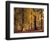 Buchenwald, Herbst, Wald, Bv¤Ume, Laubbv¤Ume, Buchen, Herbstlaub-Thonig-Framed Photographic Print