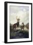 Buck and Doe, 1885 (Oil on Canvas)-Arthur Fitzwilliam Tait-Framed Giclee Print